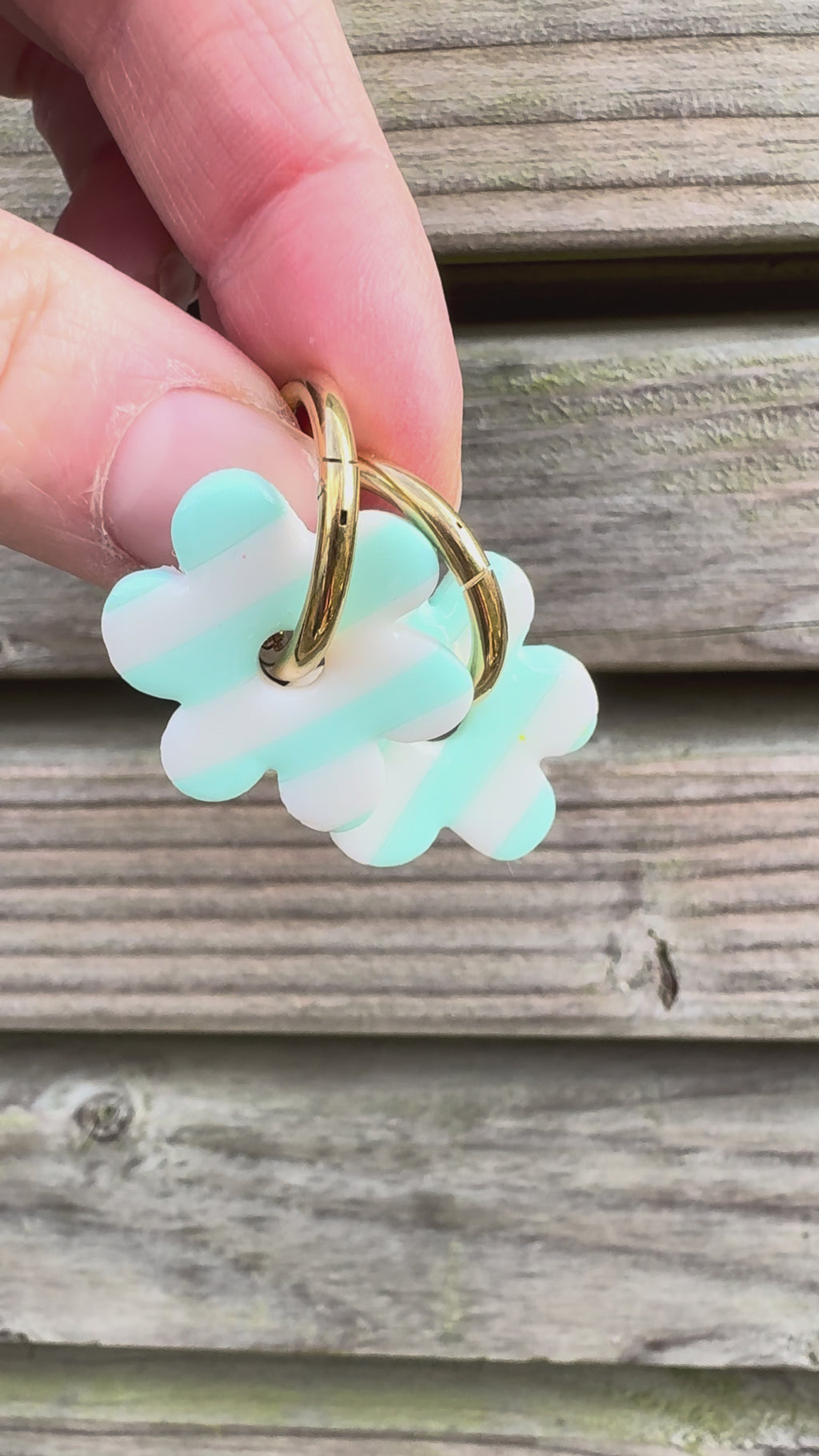 Les « Daisy » bleue ciel